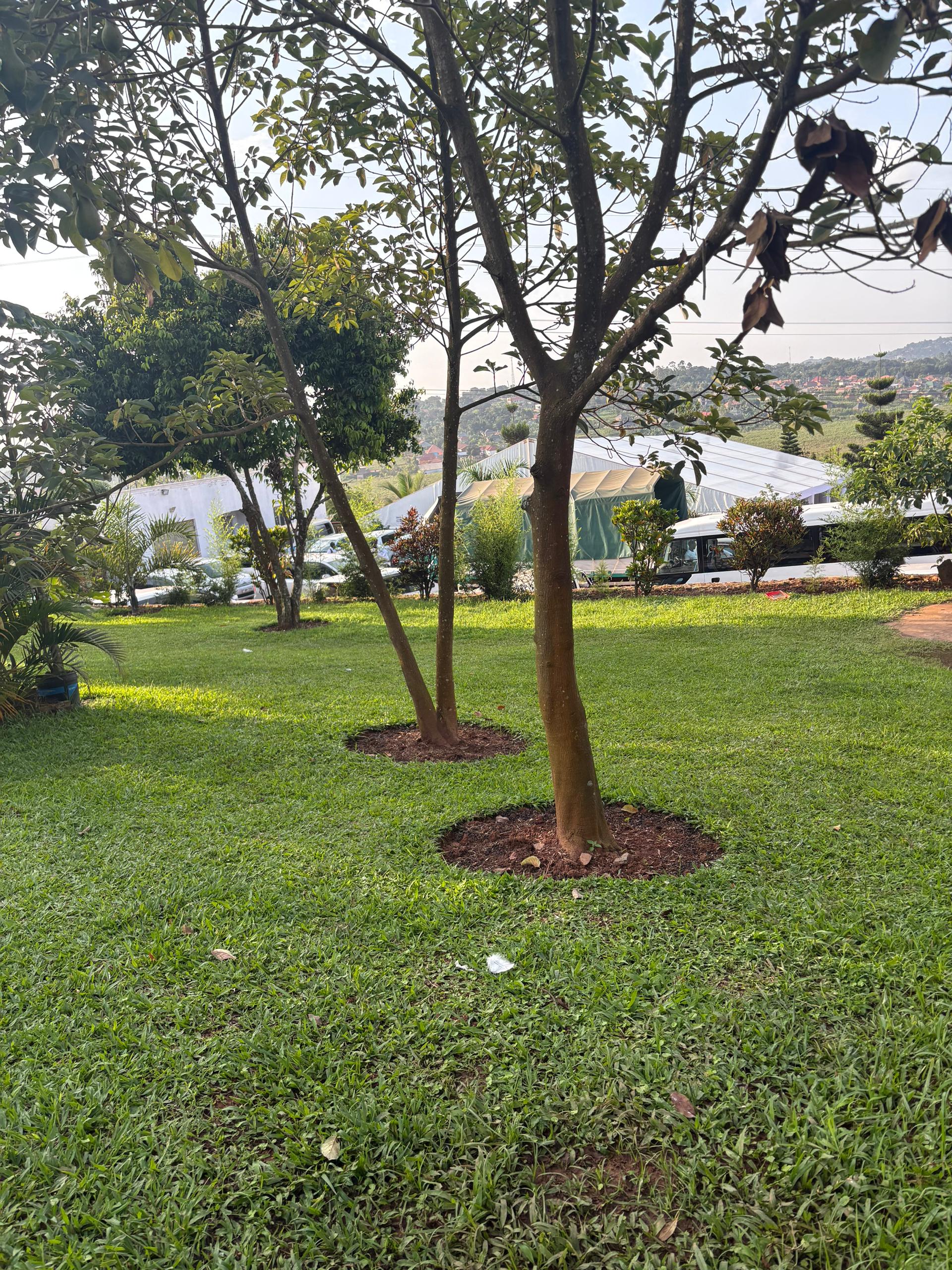 Wedding garden at Danma Gardens Hotel